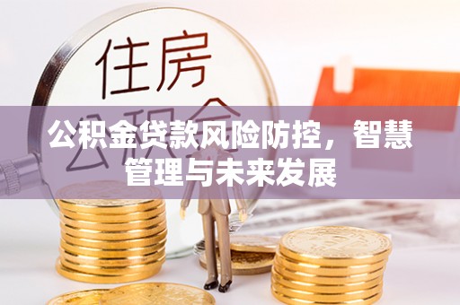 宁江公积金贷款风险防控，智慧管理与未来发展