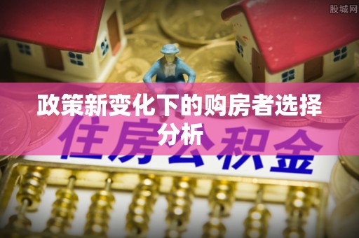 宁江政策新变化下的购房者选择分析